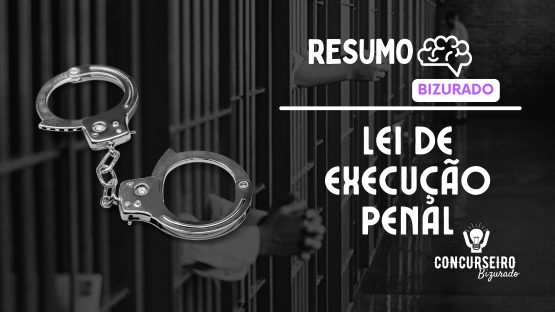 LEI DE EXECUÇÃO PENAL - LEP  - RESUMO BIZURADO