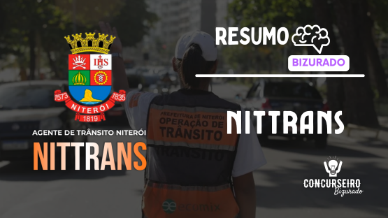  NITTRANS  - RESUMO BIZURADO